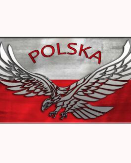 magnes 4 (Polska I)