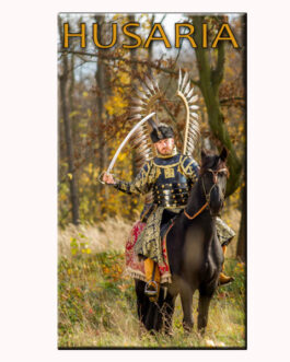 magnes 19 (husaria II)