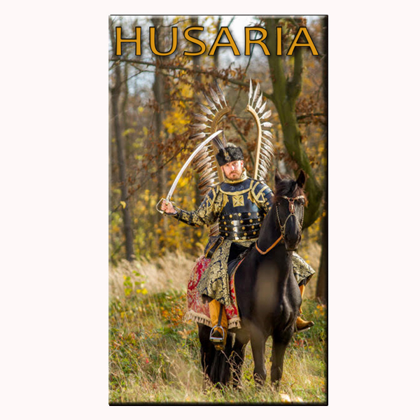 magnes 19 (husaria II)