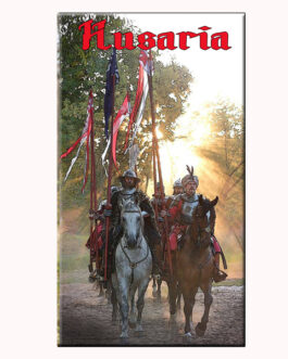 magnes 20 (husaria III)