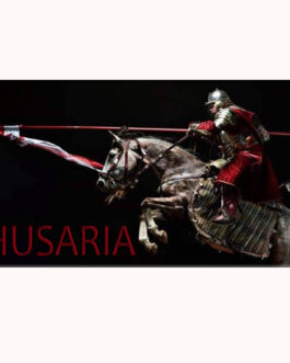 magnes 28 (husaria VIII)