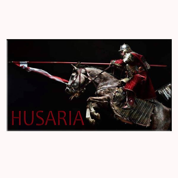 magnes 28 (husaria VIII)