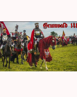 magnes 30 (Grunwald II)