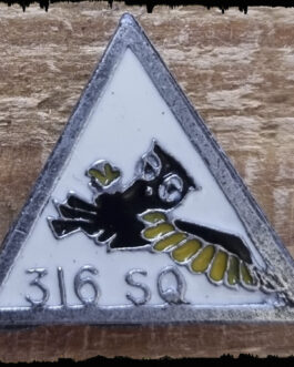 Znaczek (pin). Odznaka 316 Dywizjonu Myśliwskiego Warszawskiego