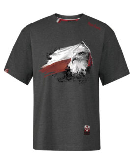 Koszulka patriotyczna męska - flaga - szara c.