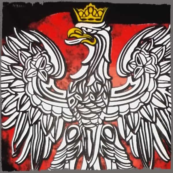 koszulka-patriotyczna-damska-godlo-czarna-detal-1.jpg